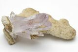 Amethyst Crystal Cluster - Las Vigas, Mexico #204524-1